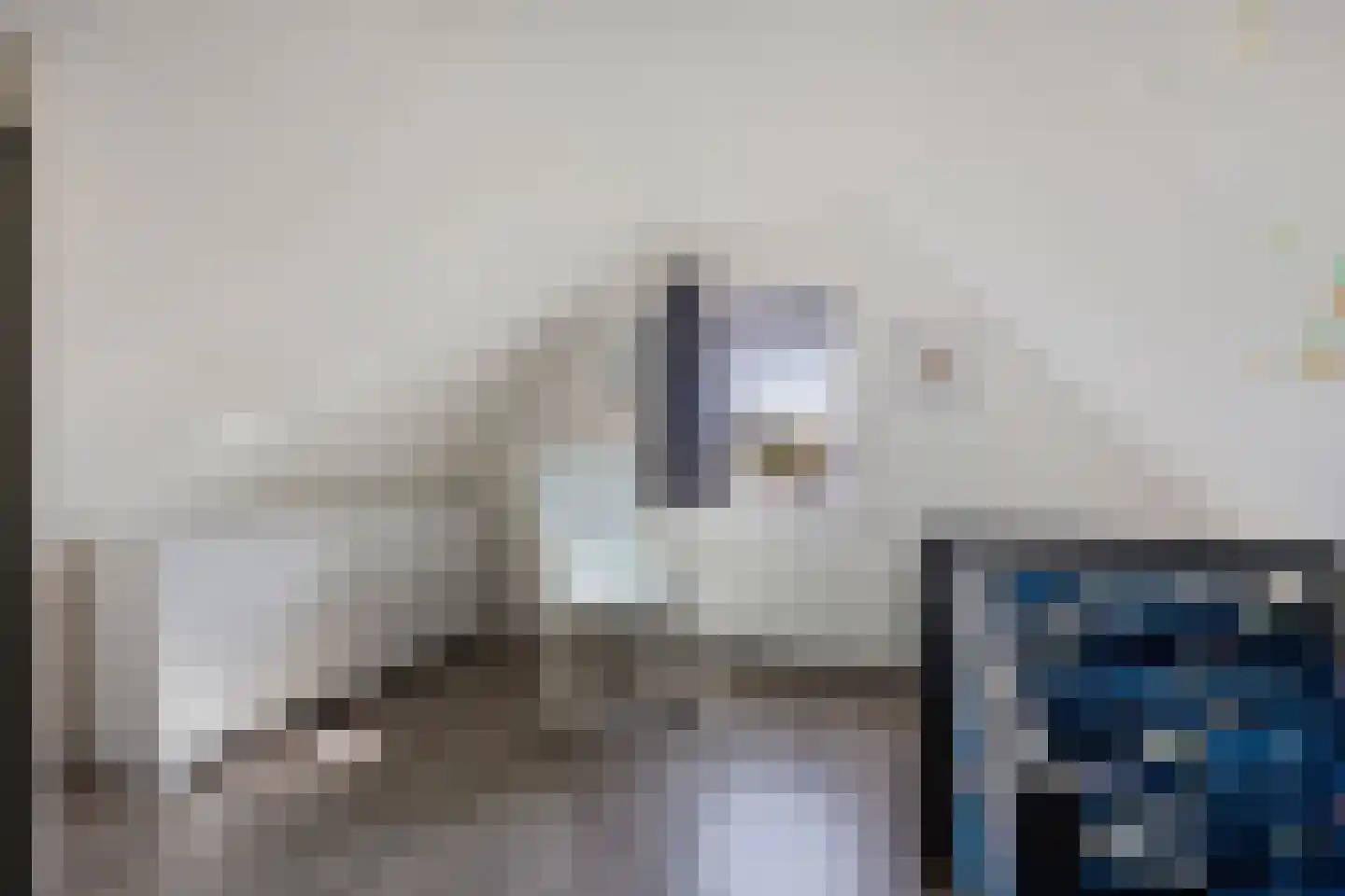 Meester Nennstiehlweg 45 De Wilp thumbnail 29