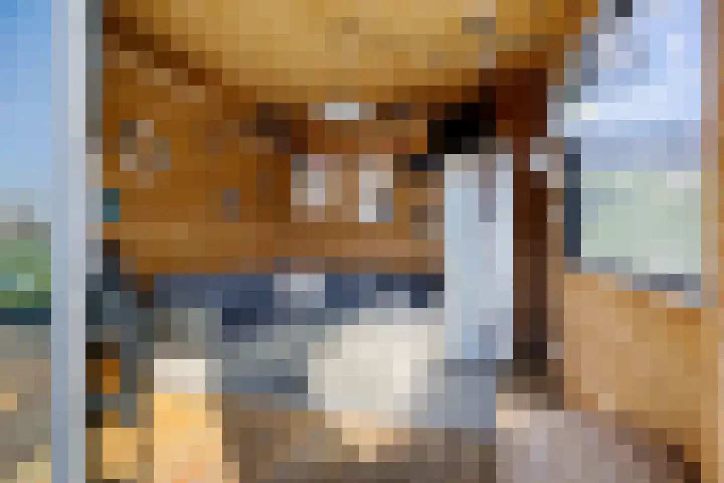 Meester Nennstiehlweg 45 De Wilp thumbnail 37