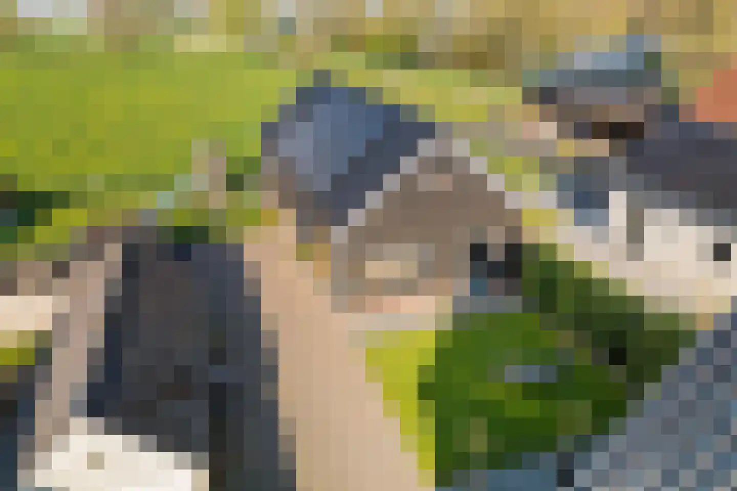 Meester Nennstiehlweg 45 De Wilp thumbnail 46