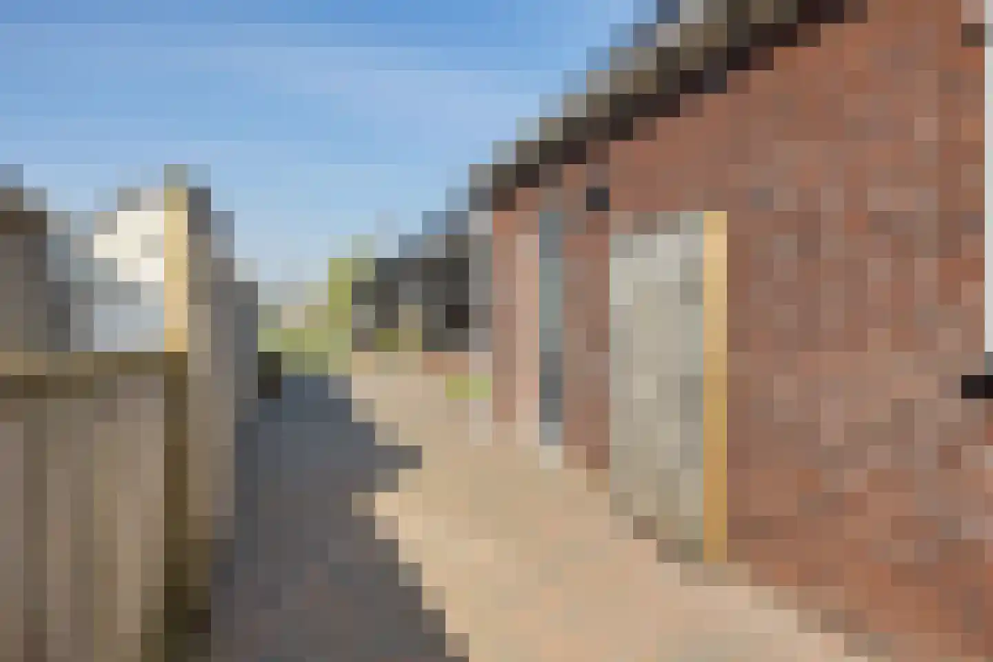 Meester Nennstiehlweg 45 De Wilp thumbnail 49
