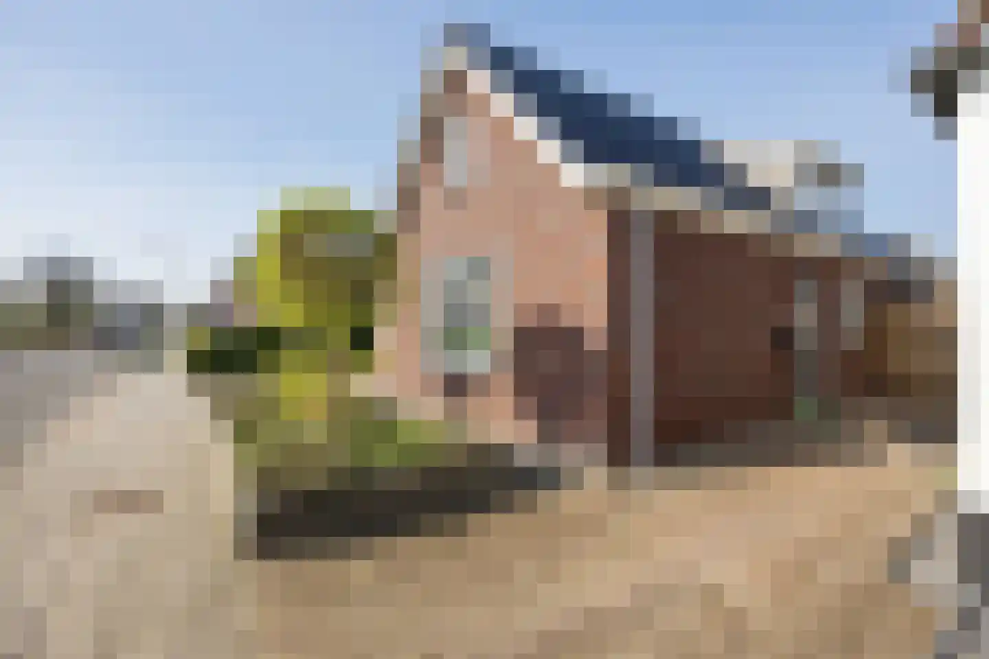 Meester Nennstiehlweg 45 De Wilp thumbnail 50