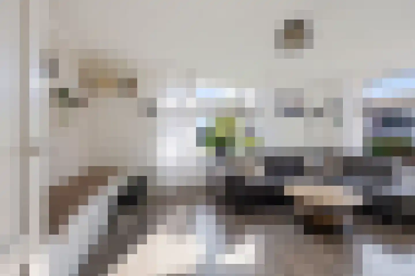 Meester Nennstiehlweg 45 De Wilp thumbnail 7