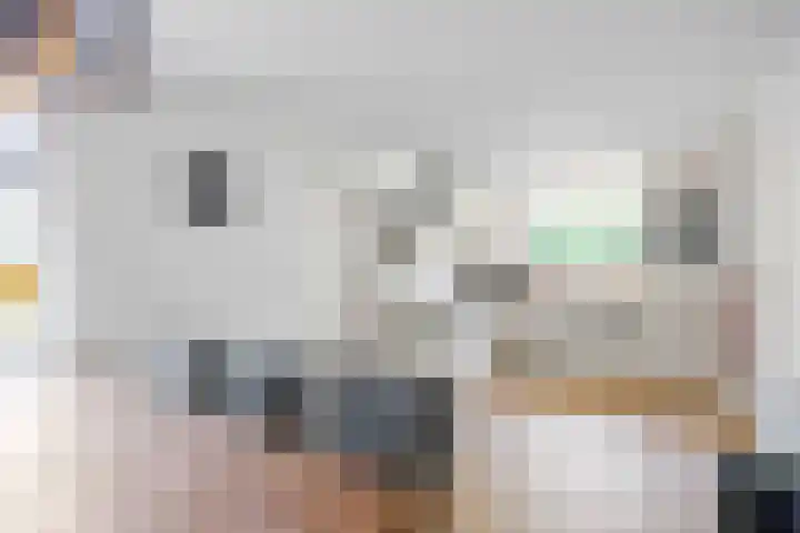 Meester Nennstiehlweg 47 De Wilp thumbnail 24