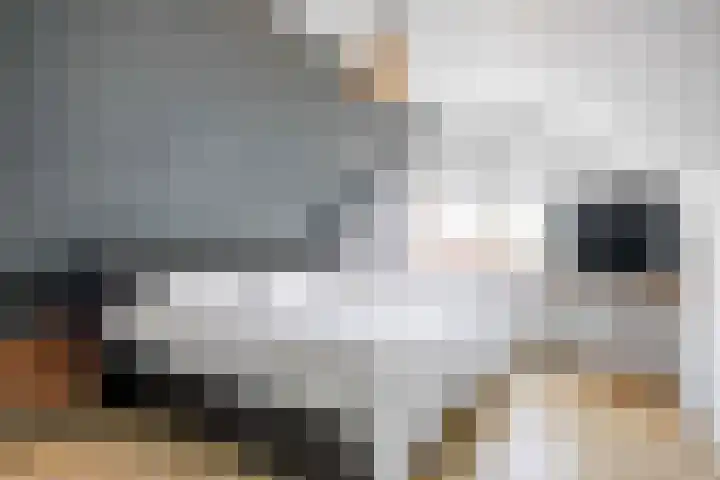 Meester Nennstiehlweg 47 De Wilp thumbnail 35