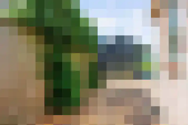 Meester Nennstiehlweg 47 De Wilp thumbnail 40