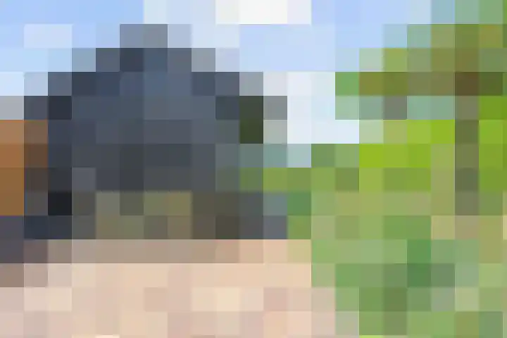 Meester Nennstiehlweg 47 De Wilp thumbnail 43