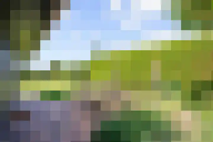 Meester Nennstiehlweg 47 De Wilp thumbnail 44