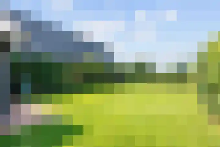 Meester Nennstiehlweg 47 De Wilp thumbnail 45