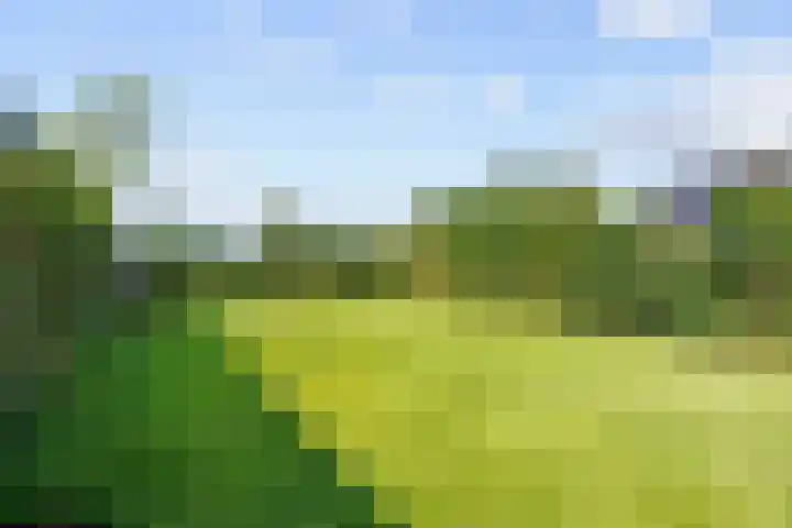 Meester Nennstiehlweg 47 De Wilp thumbnail 46