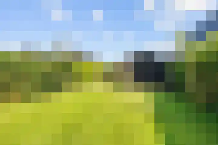 Meester Nennstiehlweg 47 De Wilp thumbnail 47