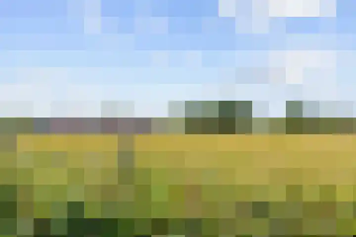 Meester Nennstiehlweg 47 De Wilp thumbnail 48