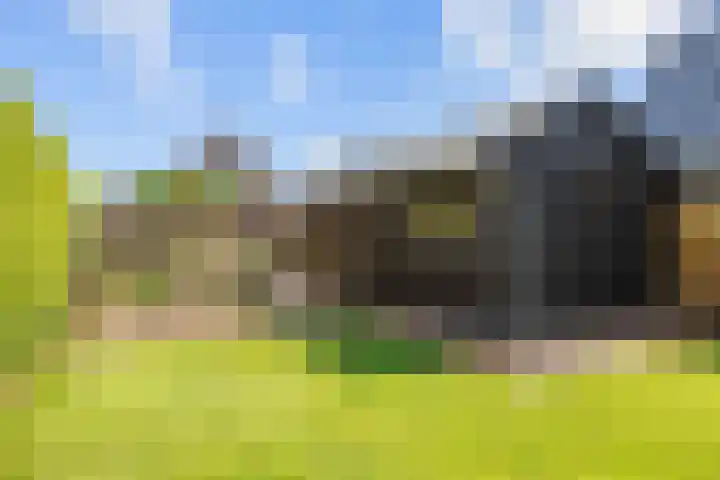 Meester Nennstiehlweg 47 De Wilp thumbnail 49