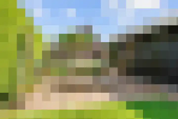 Meester Nennstiehlweg 47 De Wilp thumbnail 50