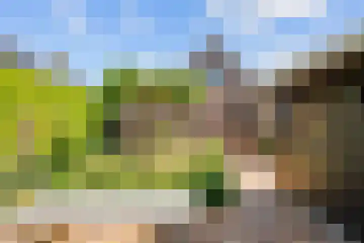 Meester Nennstiehlweg 47 De Wilp thumbnail 51