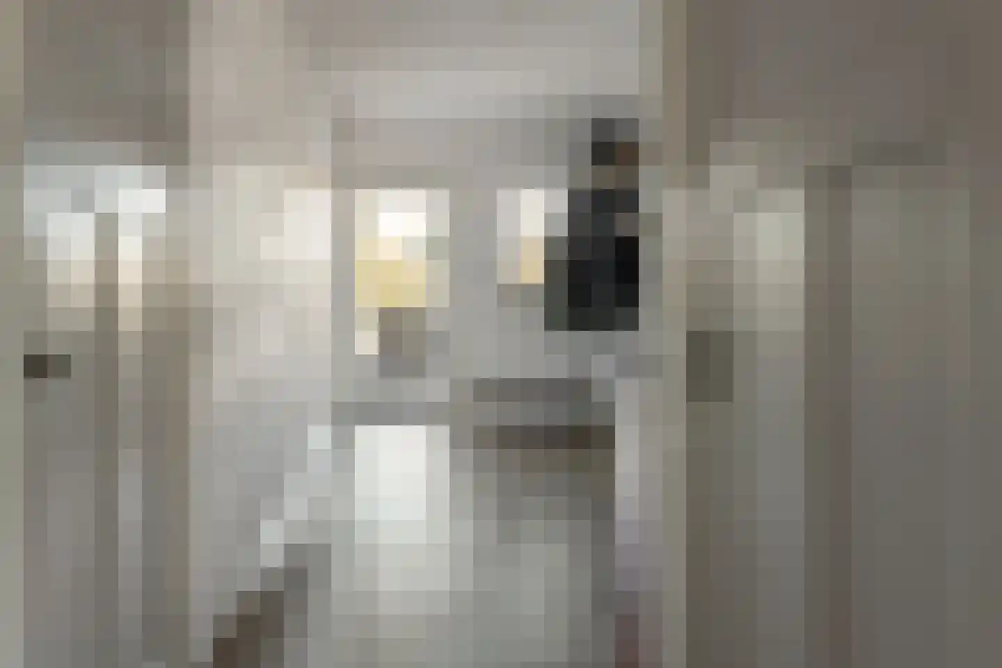 Meester Nennstiehlweg 61 De Wilp thumbnail 14
