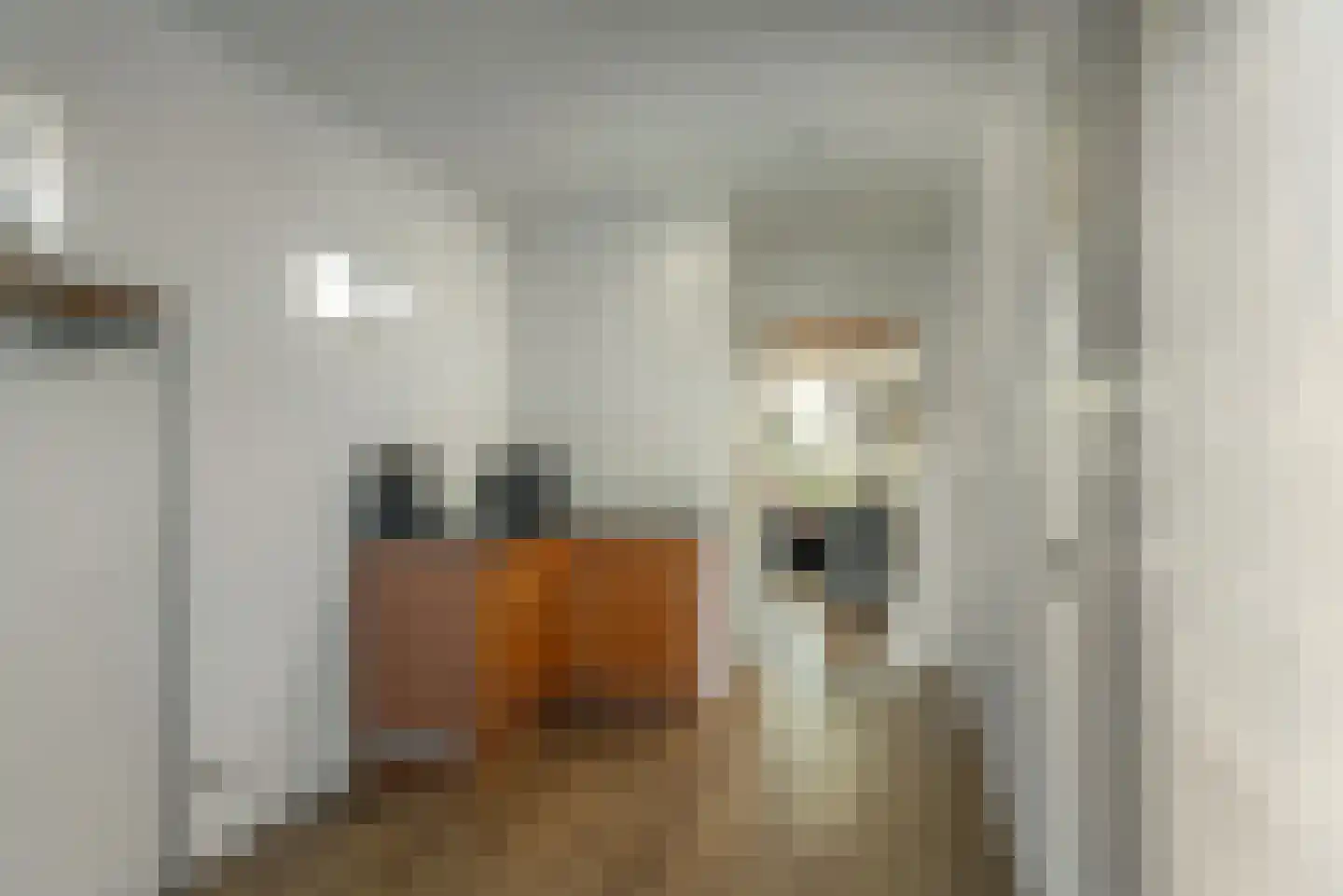 Meester Nennstiehlweg 61 De Wilp thumbnail 15