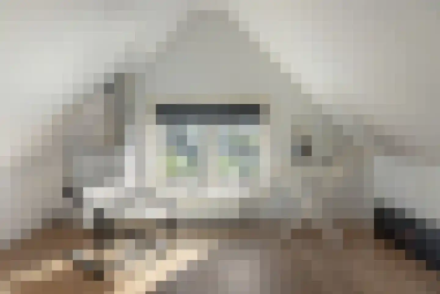 Meester Nennstiehlweg 61 De Wilp thumbnail 21