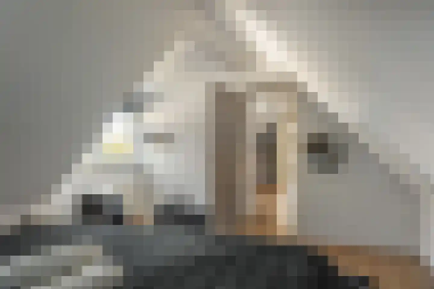 Meester Nennstiehlweg 61 De Wilp thumbnail 24