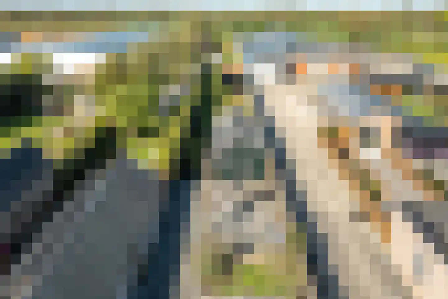 Meester Nennstiehlweg 61 De Wilp thumbnail 33