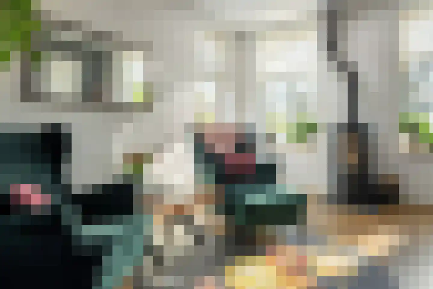 Meester Nennstiehlweg 61 De Wilp thumbnail 8