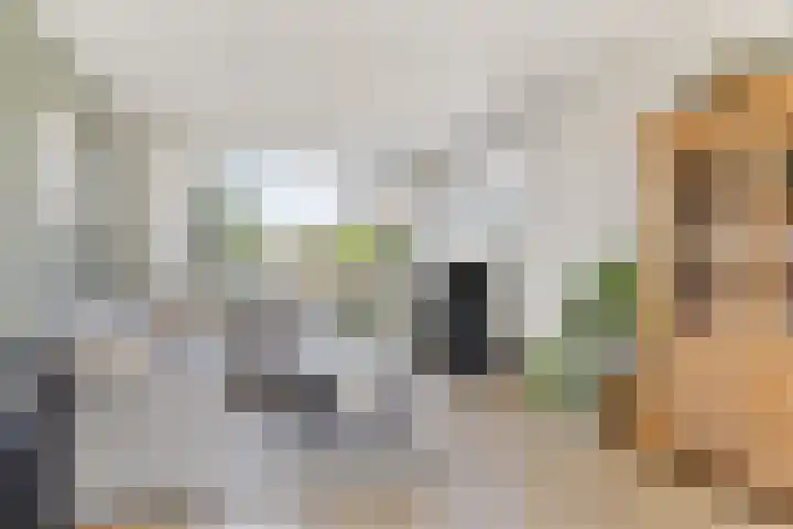 Meester Nijhoffstraat 30 Heerde thumbnail 5