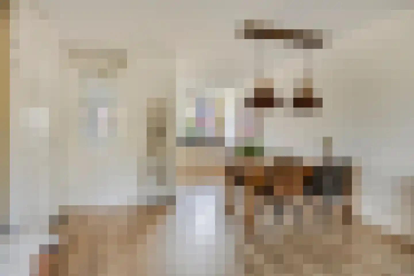 Meester Onsteestraat 21 Zorgvlied thumbnail 12