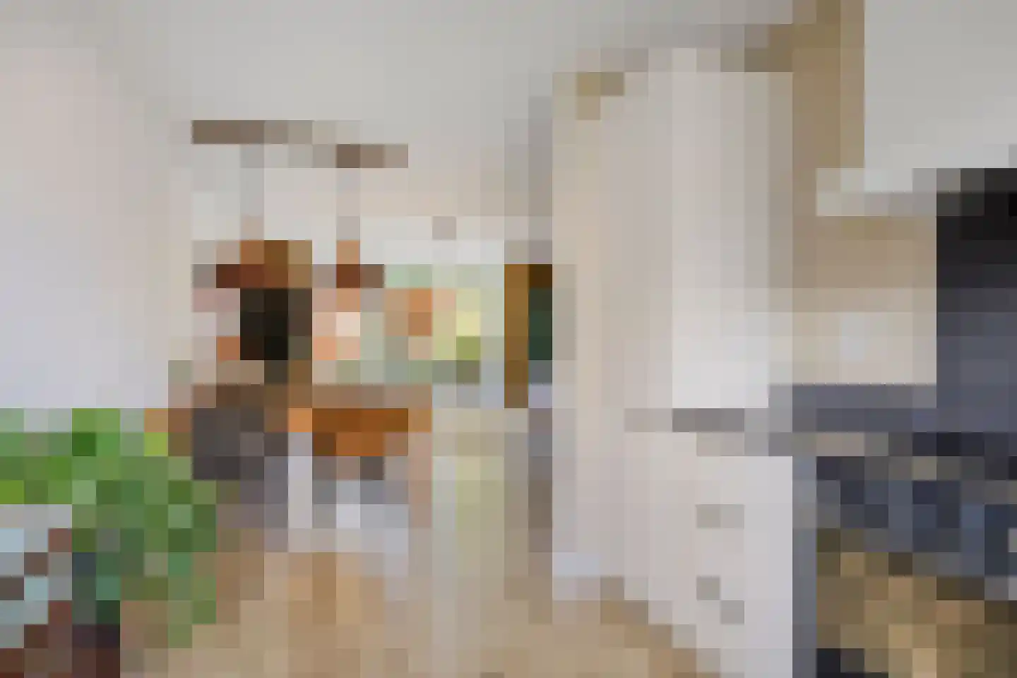 Meester Onsteestraat 21 Zorgvlied thumbnail 16