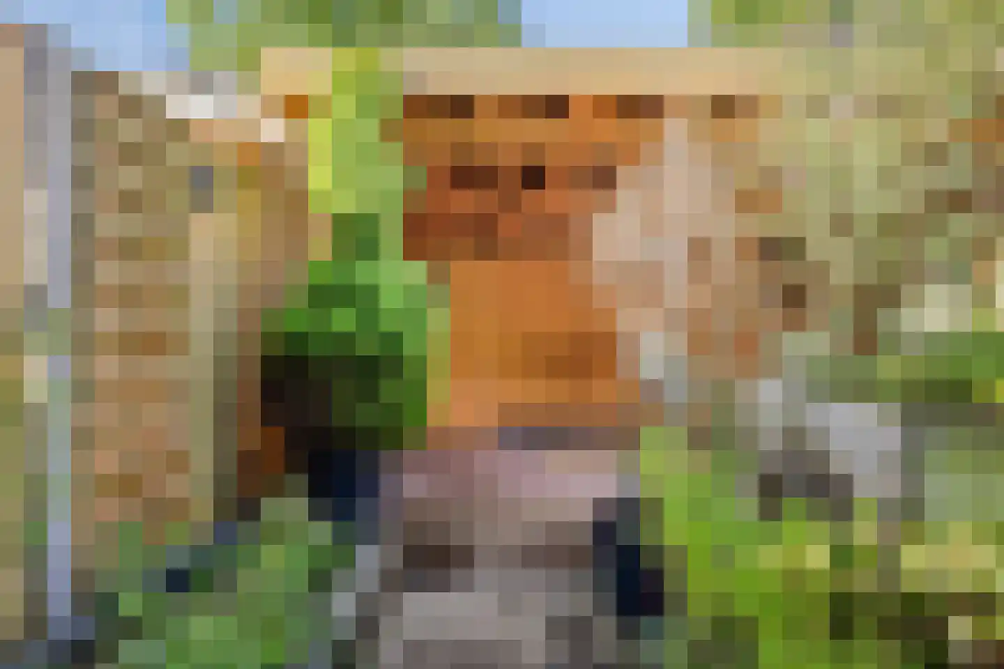 Meester Onsteestraat 21 Zorgvlied thumbnail 33