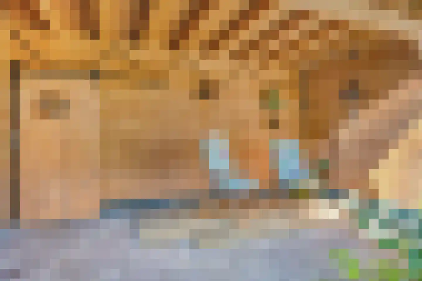 Meester Onsteestraat 21 Zorgvlied thumbnail 35