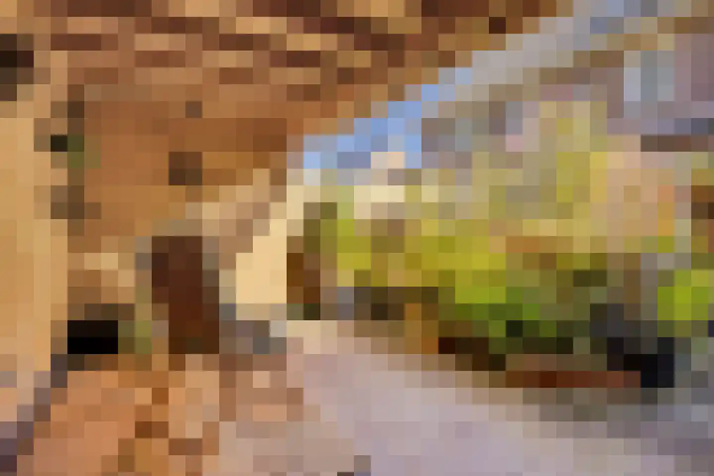 Meester Onsteestraat 21 Zorgvlied thumbnail 36