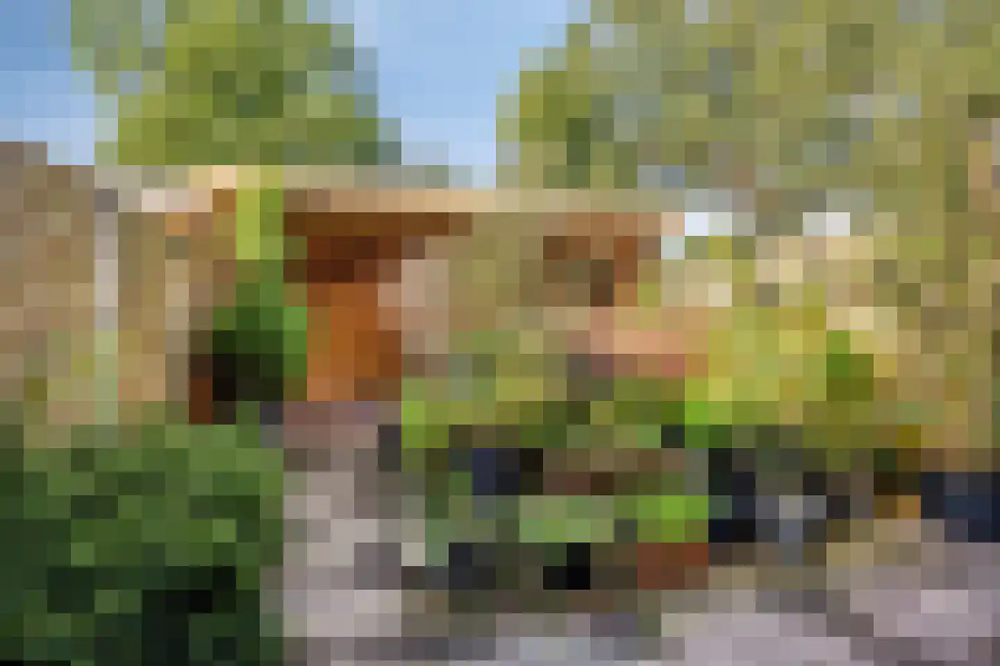 Meester Onsteestraat 21 Zorgvlied thumbnail 4
