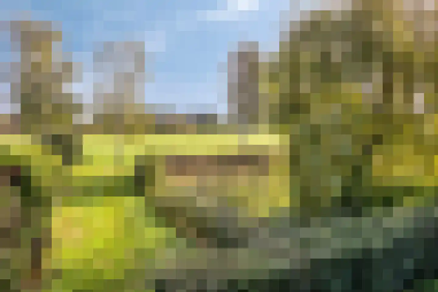 Meester Onsteestraat 21 Zorgvlied thumbnail 41