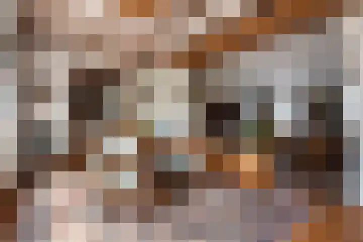Meester Pankenstraat 10 Bergeijk thumbnail 13