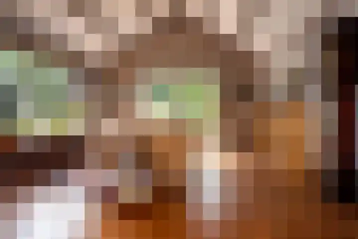 Meester Pankenstraat 10 Bergeijk thumbnail 15