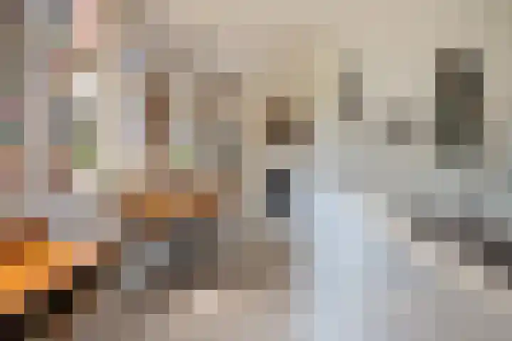 Meester Pankenstraat 10 Bergeijk thumbnail 16