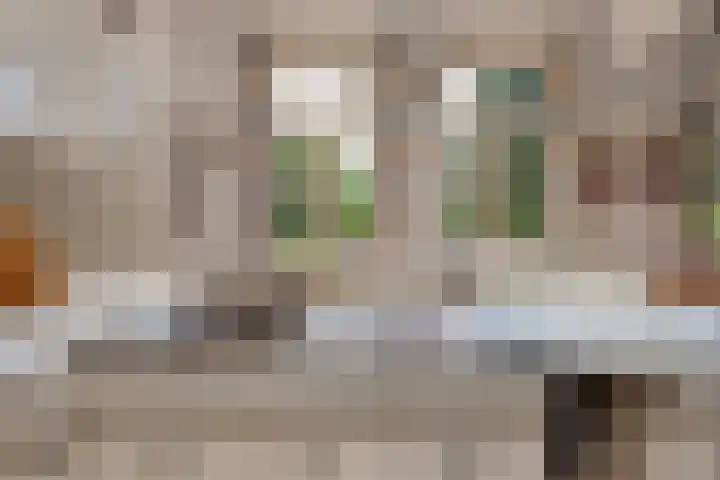 Meester Pankenstraat 10 Bergeijk thumbnail 18