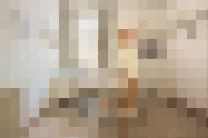 Meester Pankenstraat 10 Bergeijk thumbnail 20