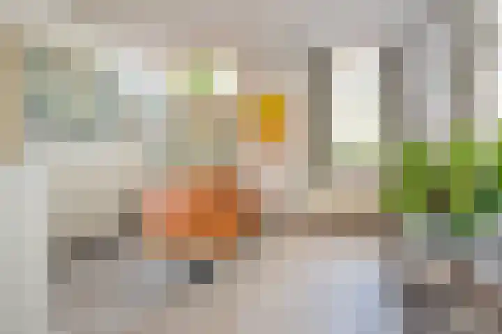 Meester Pankenstraat 10 Bergeijk thumbnail 21
