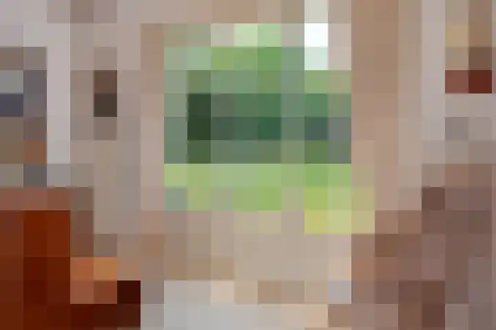Meester Pankenstraat 10 Bergeijk thumbnail 22