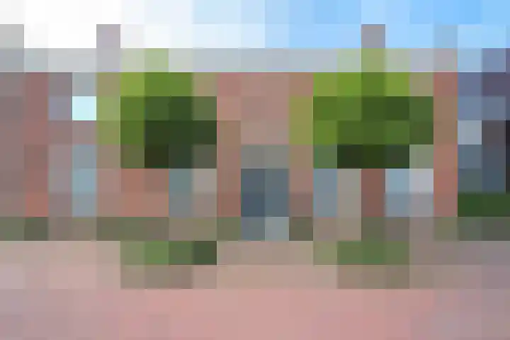 Meester Pankenstraat 10 Bergeijk thumbnail 6