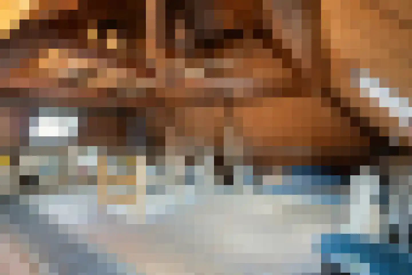 Meester Pankenstraat 30 Bergeijk thumbnail 18