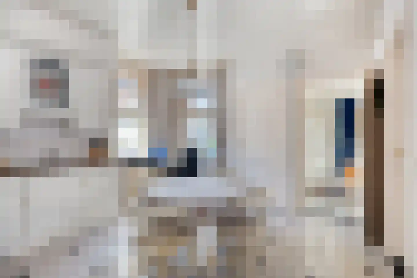 Meester Pankenstraat 30 Bergeijk thumbnail 8