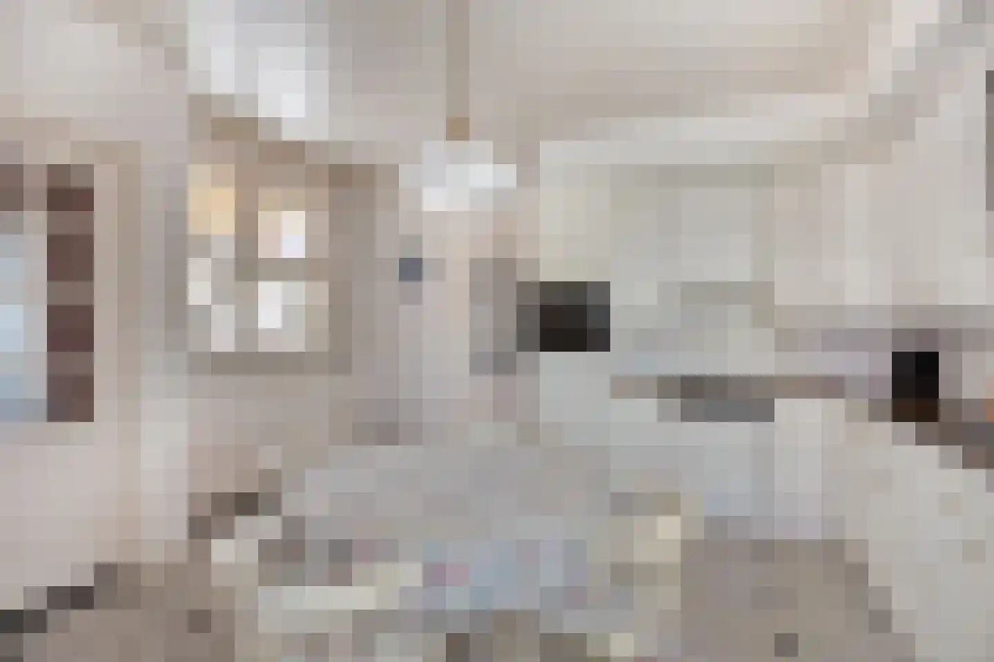 Meester Pankenstraat 30 Bergeijk thumbnail 9