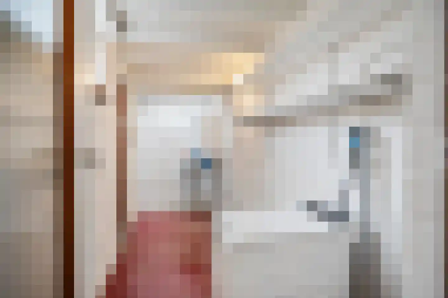 Meester Philipslaan 23 Rijswijk thumbnail 25