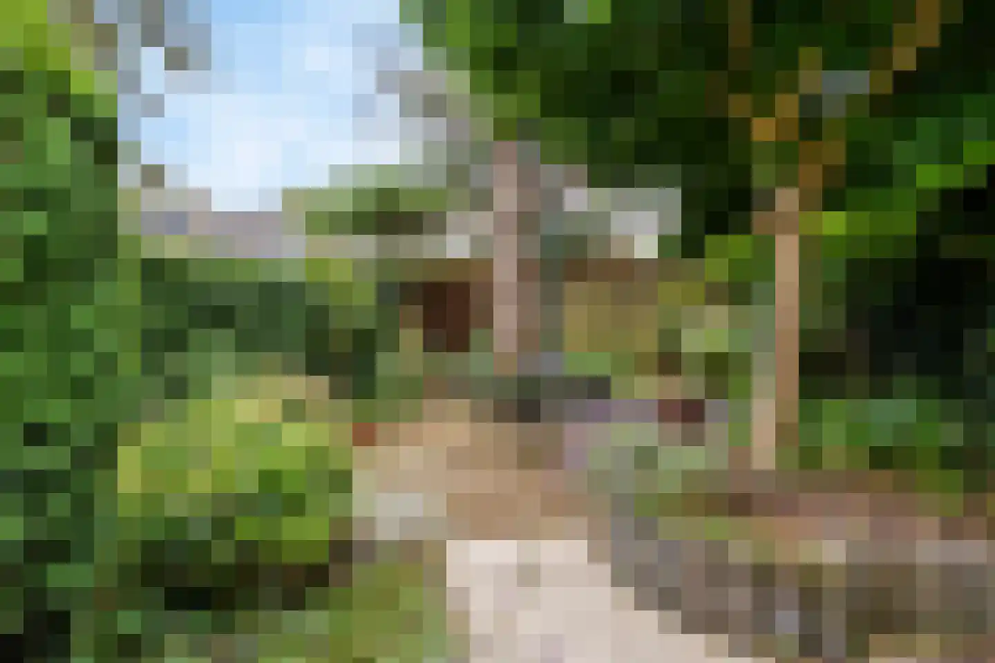 Meester Philipslaan 23 Rijswijk thumbnail 30
