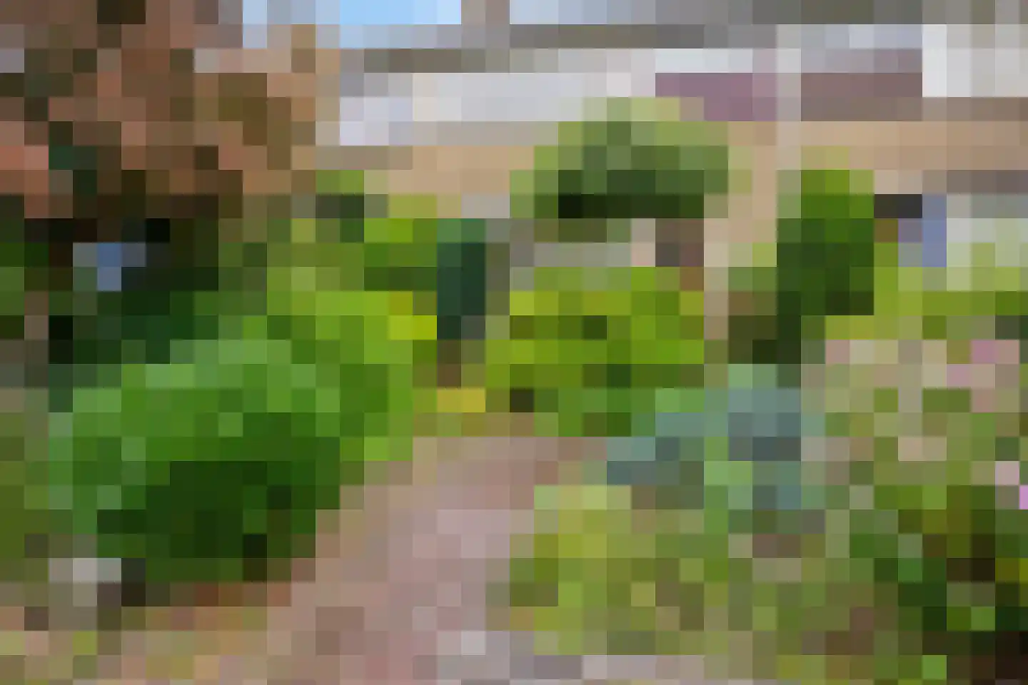 Meester Philipslaan 23 Rijswijk thumbnail 34