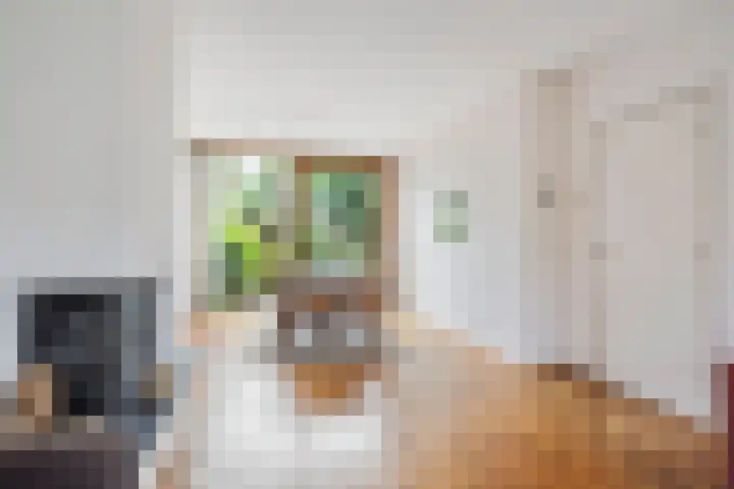 Meester Philipslaan 23 Rijswijk thumbnail 6