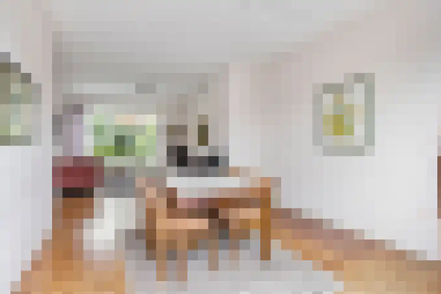 Meester Philipslaan 23 Rijswijk thumbnail 8