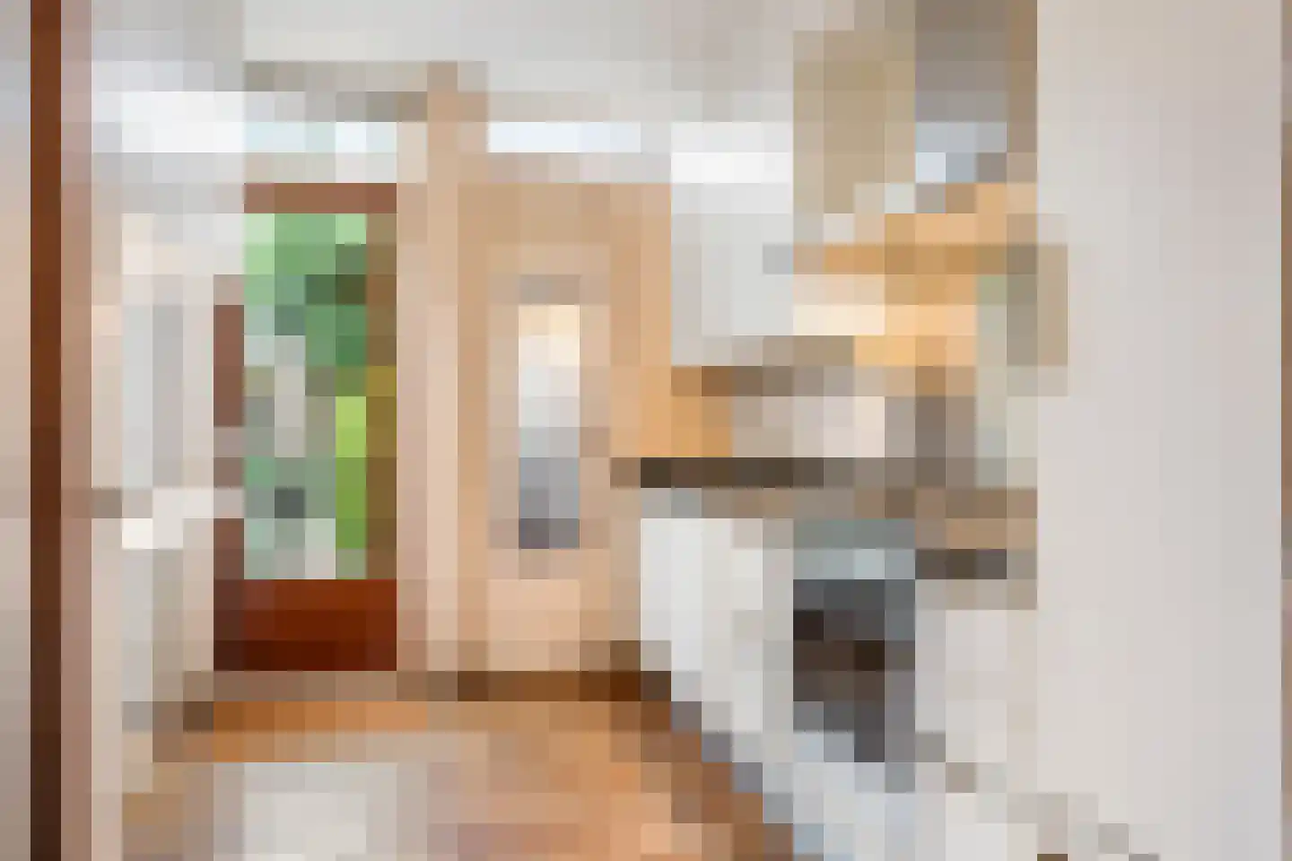 Meester Philipslaan 23 Rijswijk thumbnail 9
