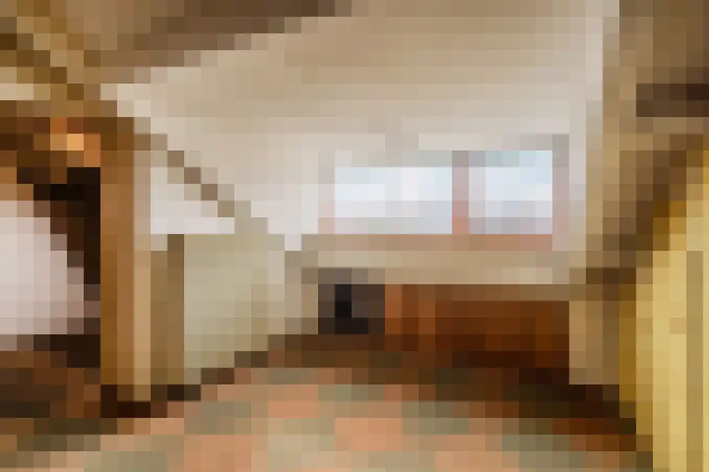 Meester Philipslaan 25 Rijswijk thumbnail 36